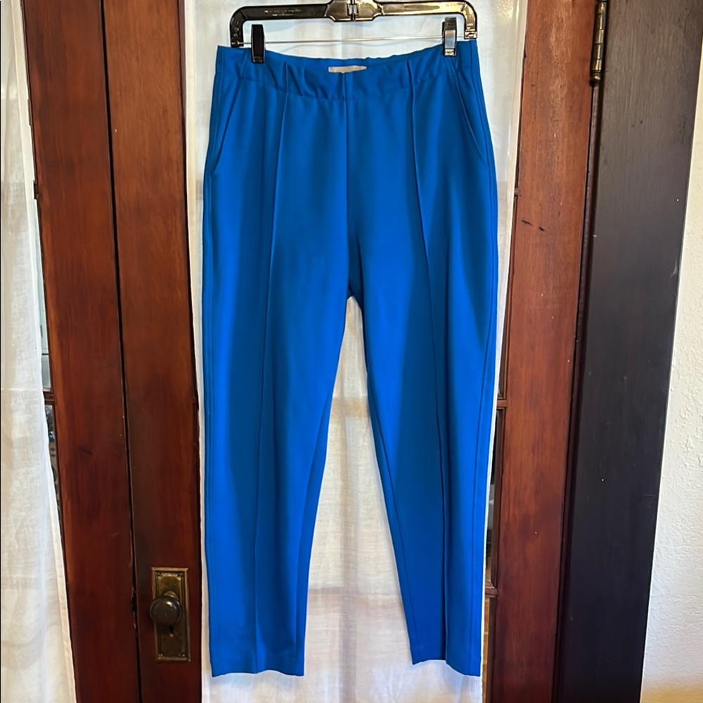 Vibrant Blue Everlane Dream Pants